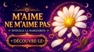 Compatibilité des signes