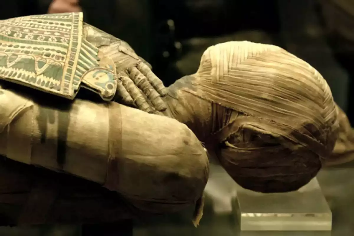 egyptian mummies