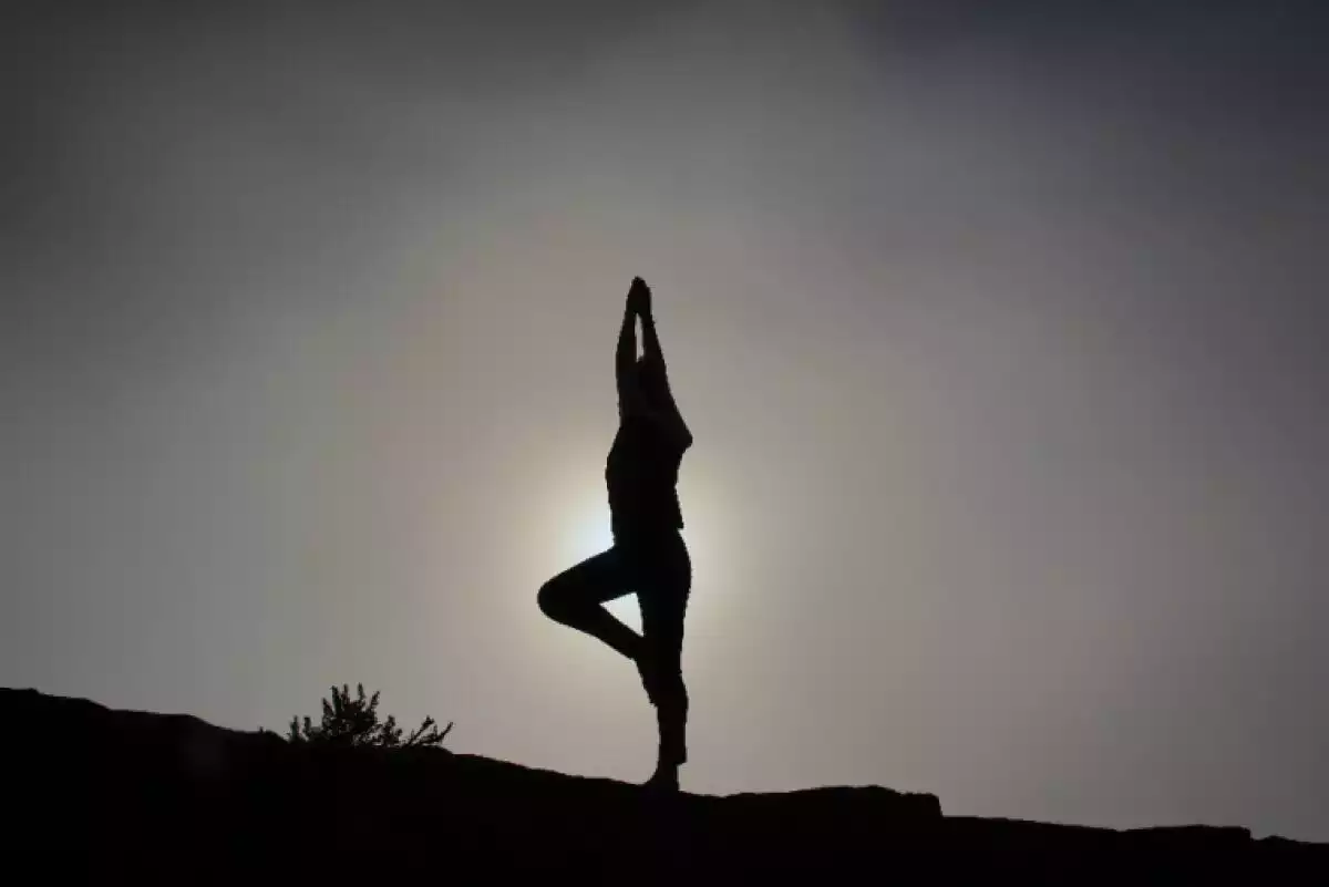 the tree yoga