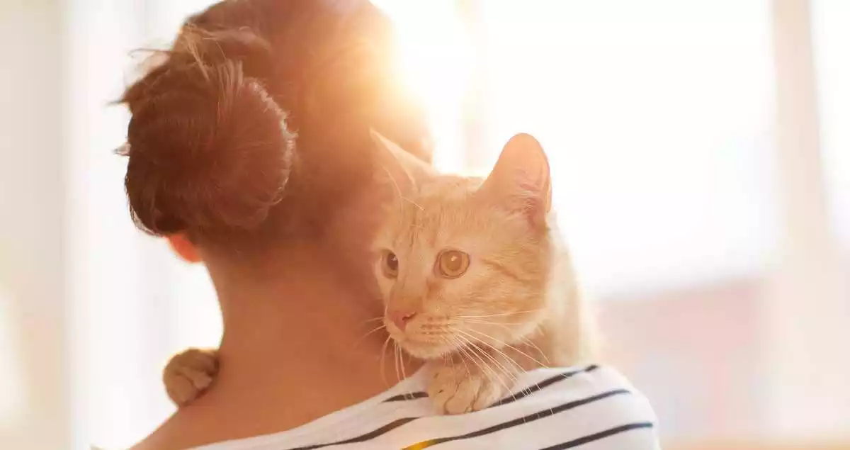 A woman holding a cat