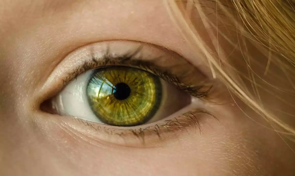 Oeil vert d'une fille