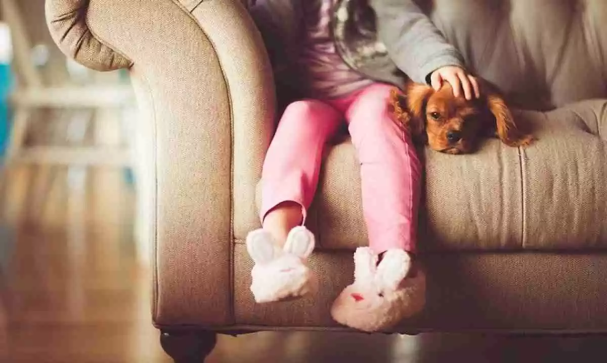 Une fille assise sur le canapé avec un chien