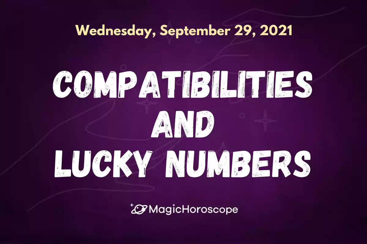 Two hands holding each other with the word compatibilities and lucky numbers in the center