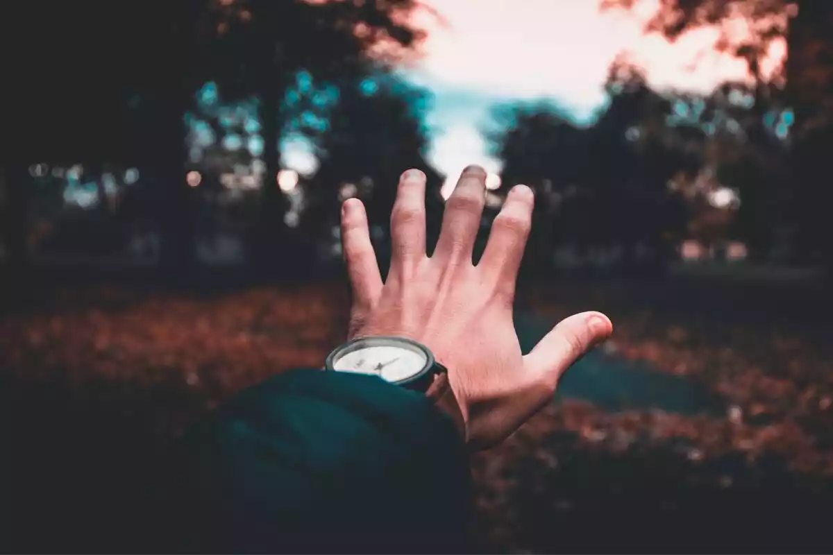 A hand of a man wearing a watch in a forest background